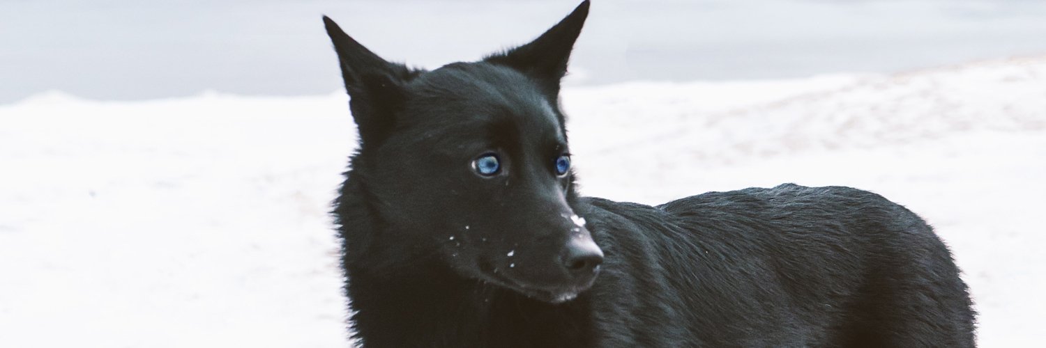 fallencthulhu's profile banner image