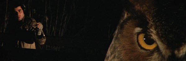 buddleoffun's profile banner image
