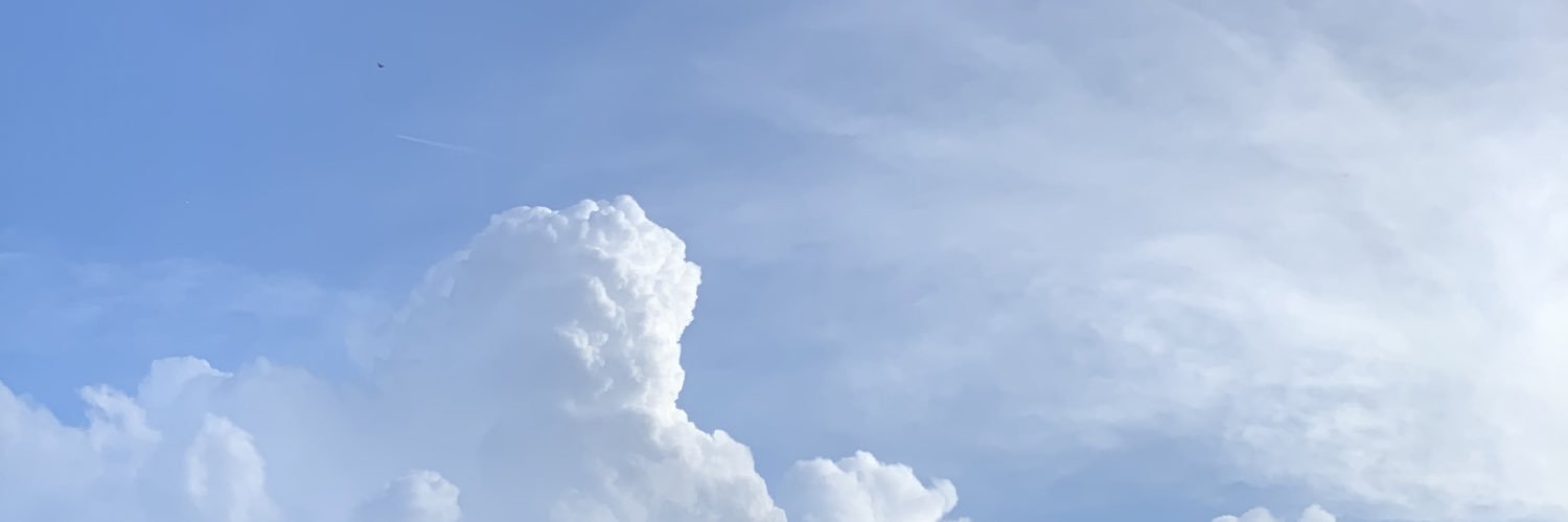 brittaneyirl's profile banner image