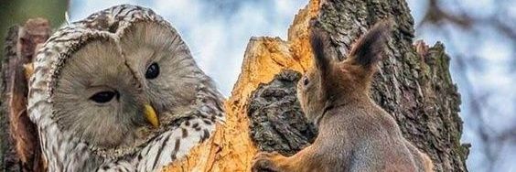 manc1981shell's profile banner image