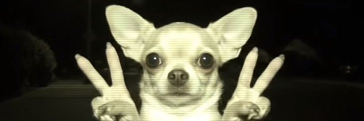 Yesimyourmanim's profile banner image
