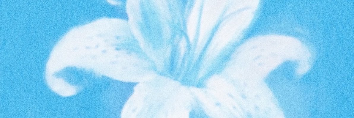 Lanius377's profile banner image