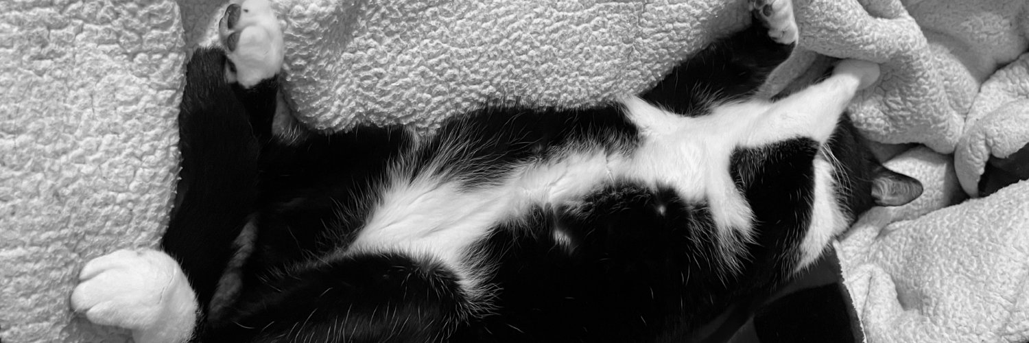 CheckedOutCat banner