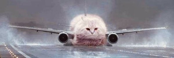 fried_internet Profile Banner