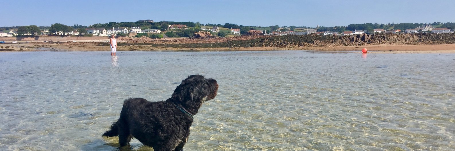 Andrew Barette banner