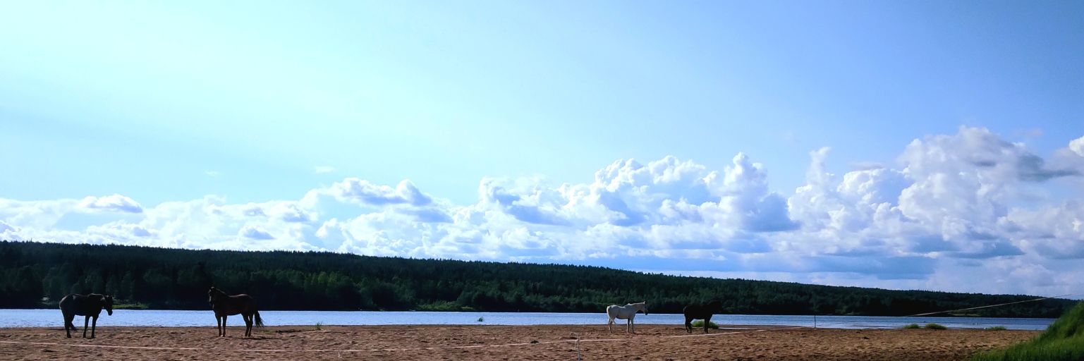Mikko Välimaa's banner