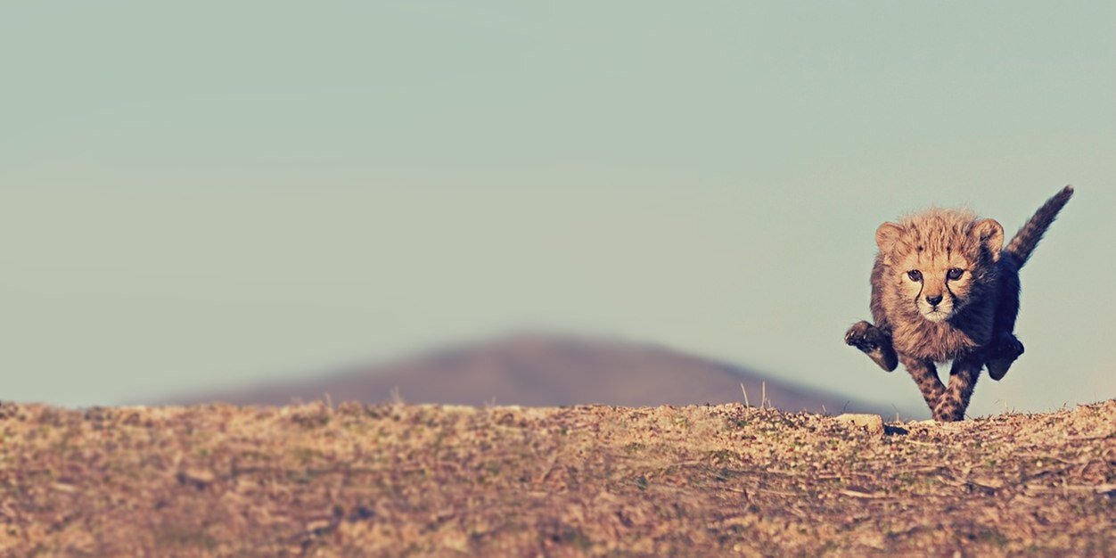 figgaplease's profile banner image