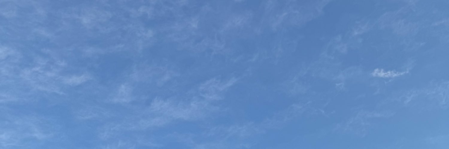 もに🦭🎀20w☺︎ banner