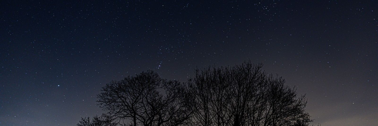 ~blubb⚡️🐠 banner