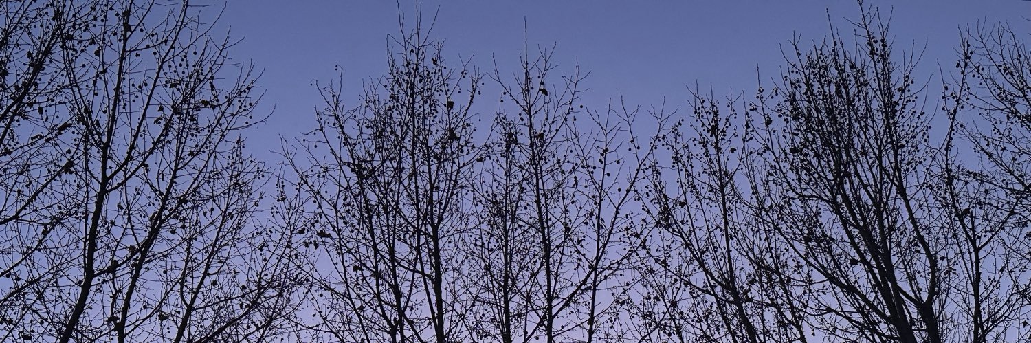 ilomilo_o0's profile banner image