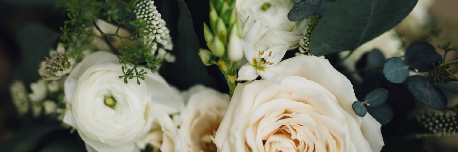 ashleydanielson's profile banner image