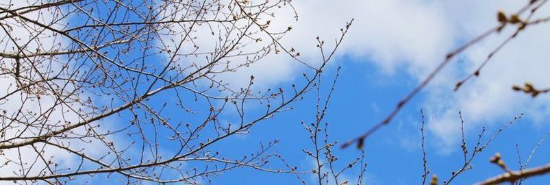 sandyEd's profile banner image