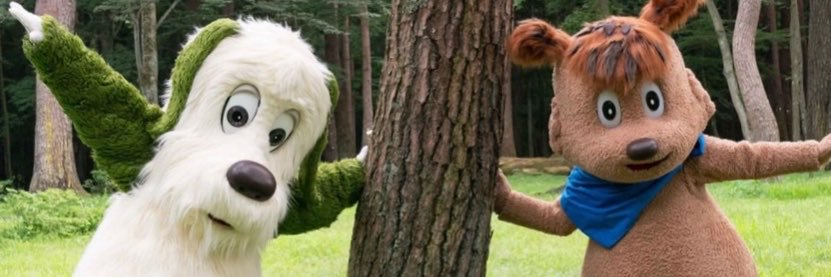 an_ning_ning's profile banner image