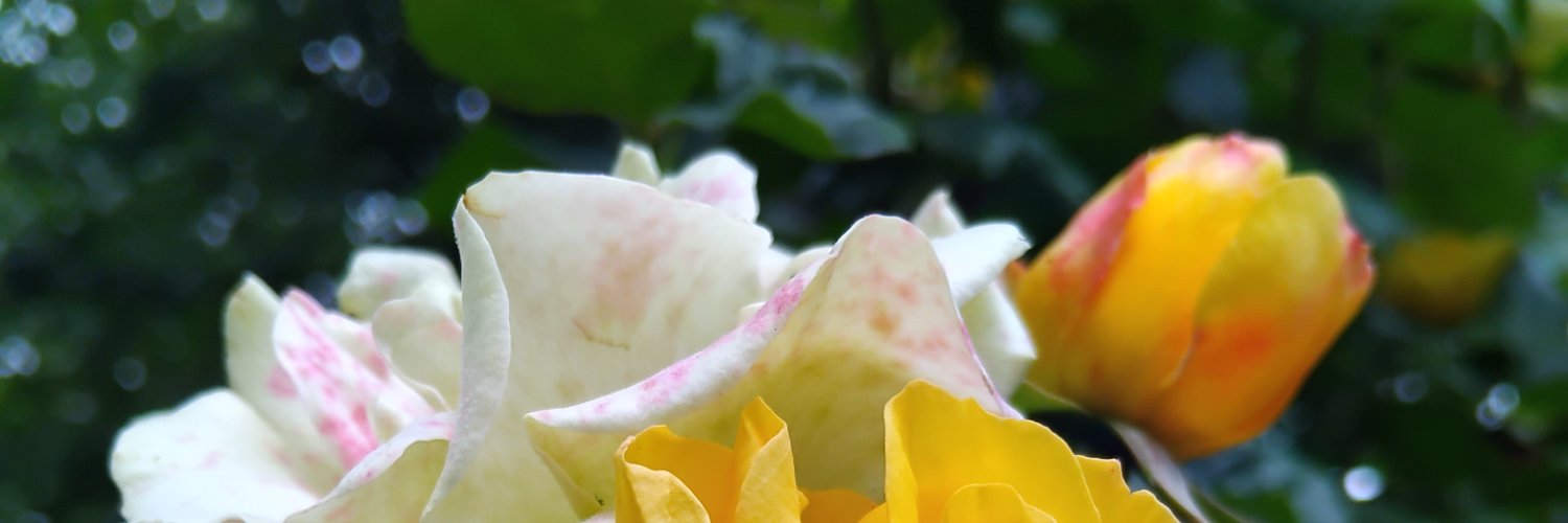 Joylove907's profile banner image