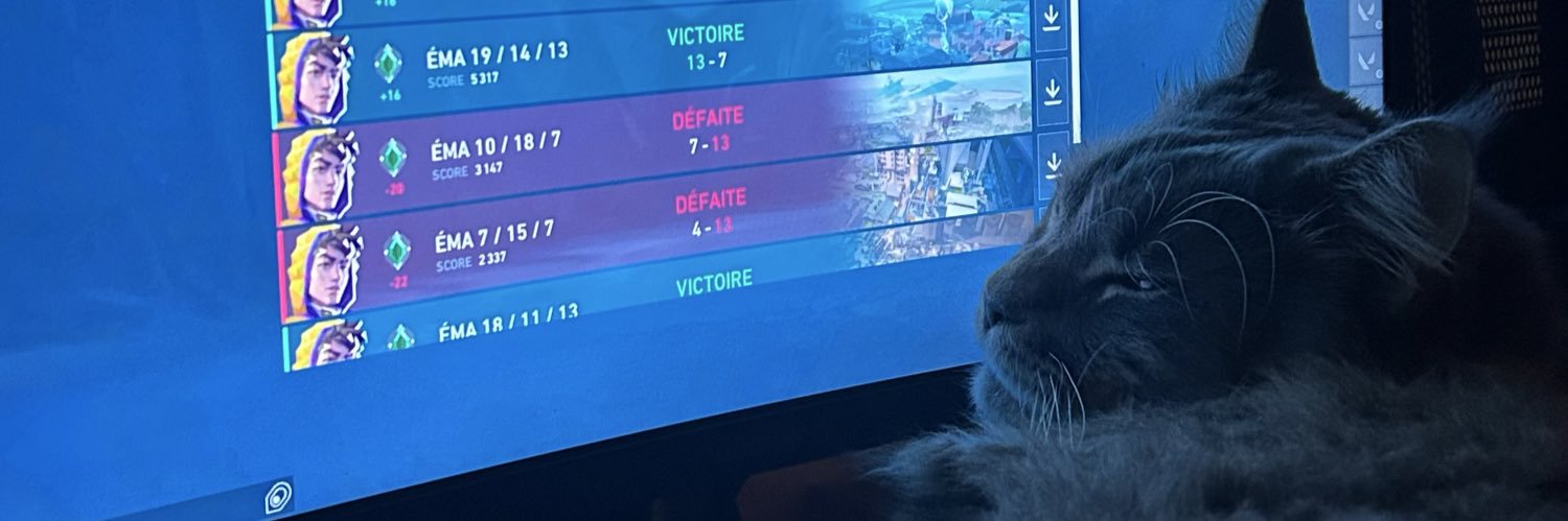 le â I circonflexe_ banner
