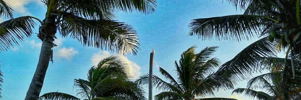 PauDurand__'s profile banner image