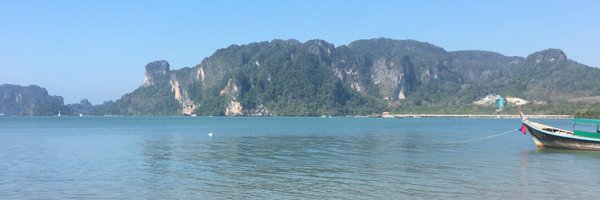 redbarrington Profile Banner