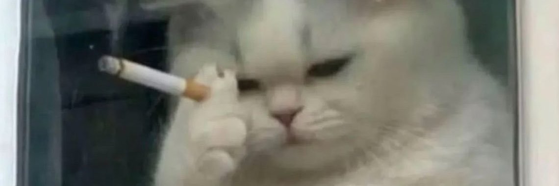 callmelliillyy's profile banner image