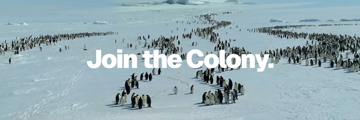 The Colony banner