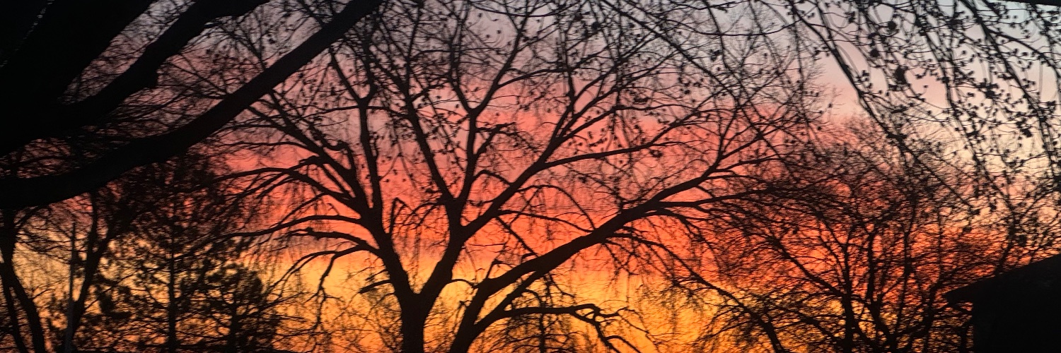 Stacie50's profile banner image