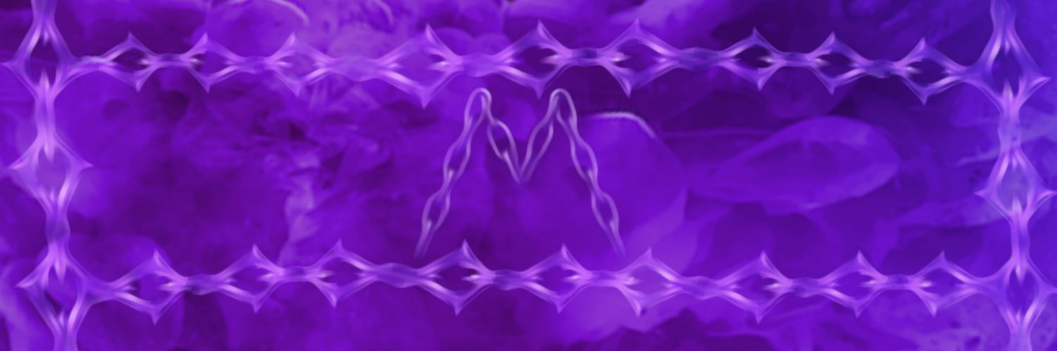 veiled1ne's profile banner image