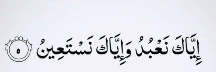 🌷 banner