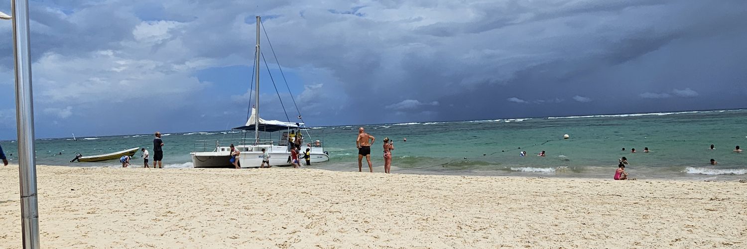 Wallflower ♥️🤍💙 banner