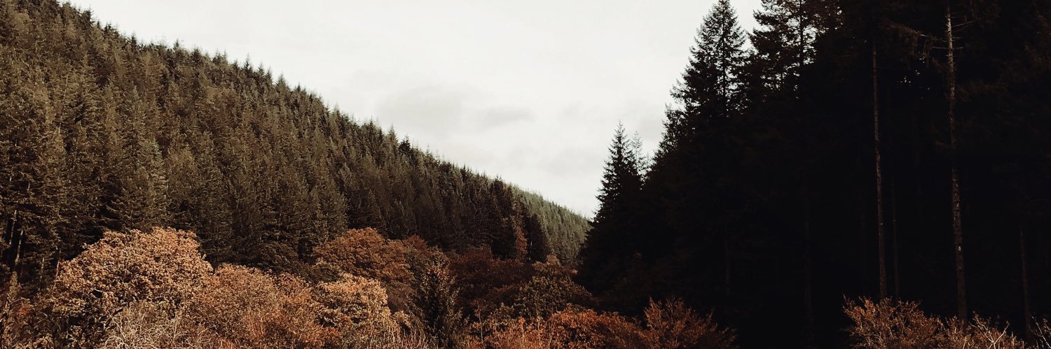 aprilwardd's profile banner image