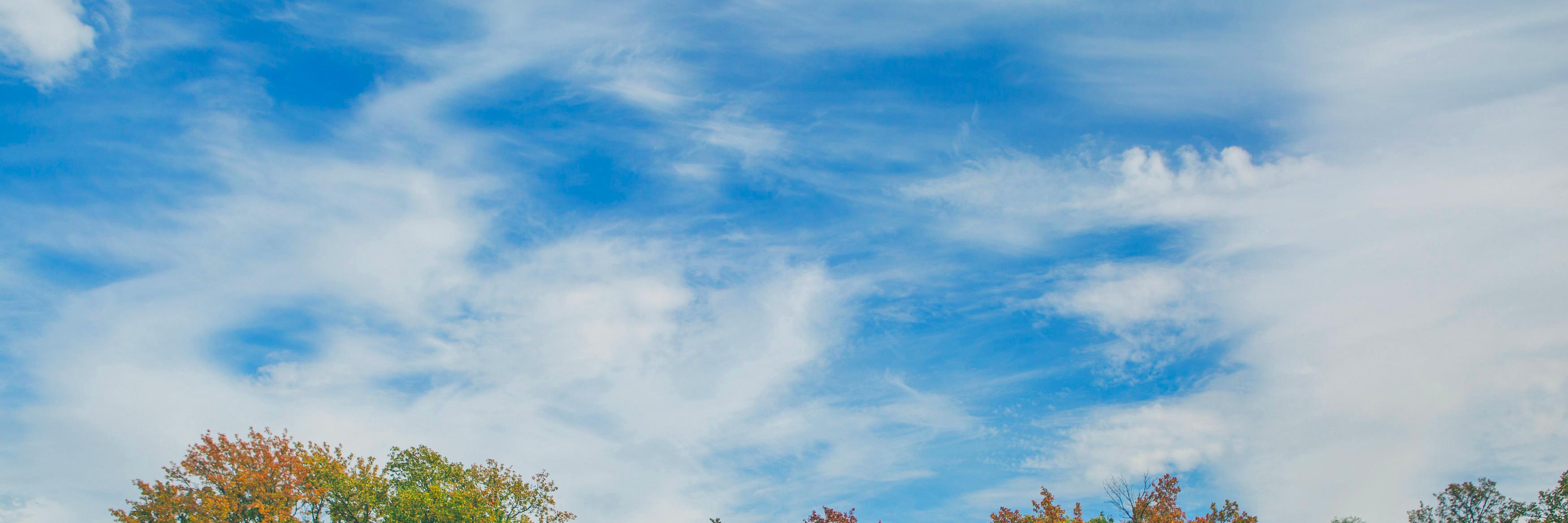 Michael Gebben banner