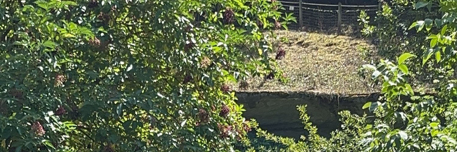 Jpzjjs's profile banner image