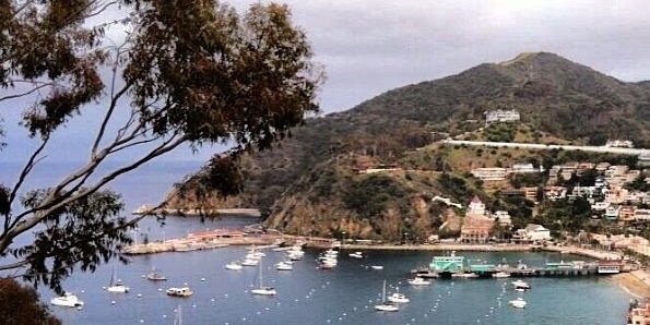 Khalid Alshehri banner