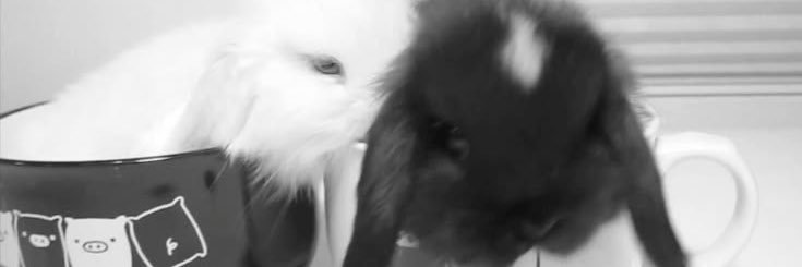 pinkkittycat0's profile banner image