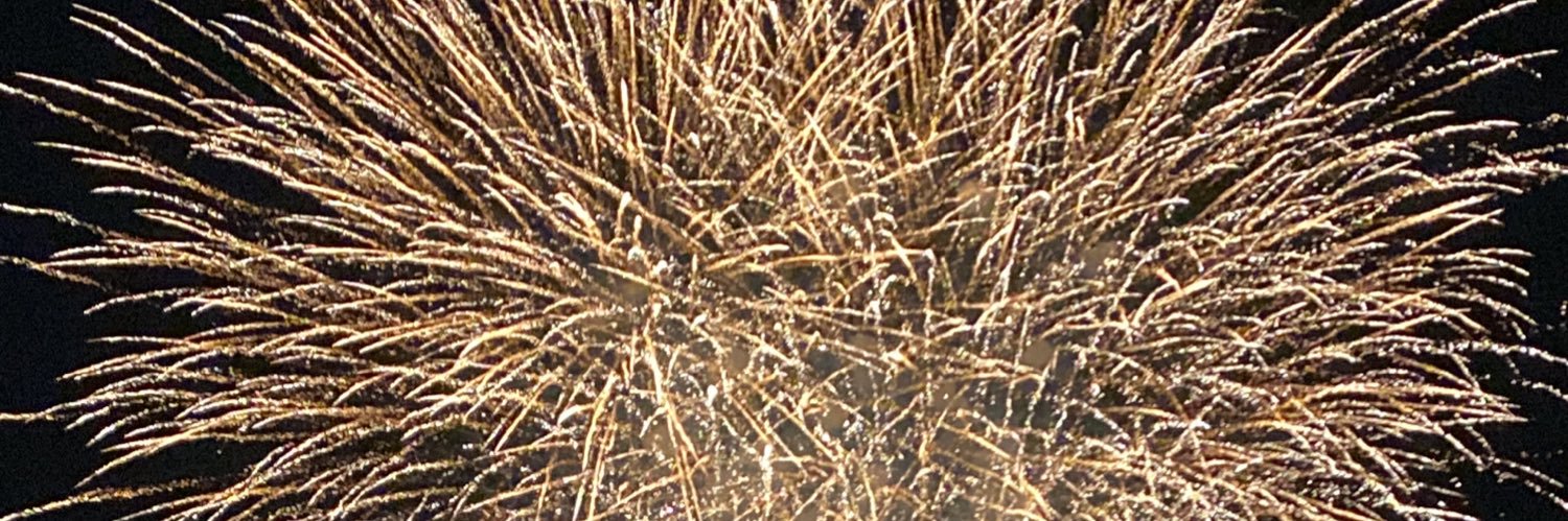 Cathy Dipierro banner
