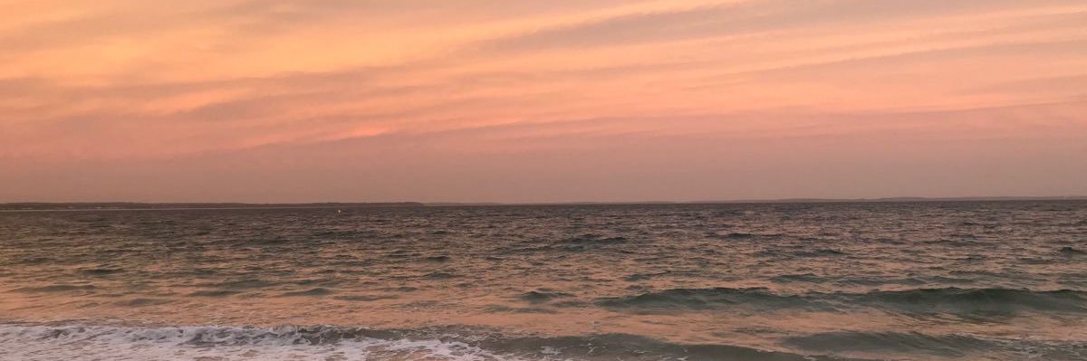 clevforbes's profile banner image