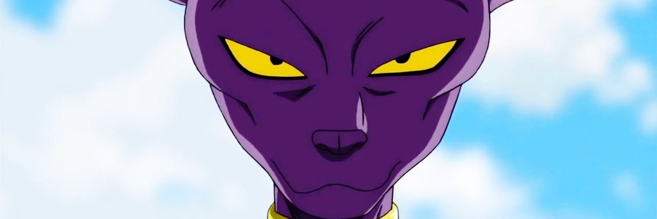 Destroyer God Beerus banner