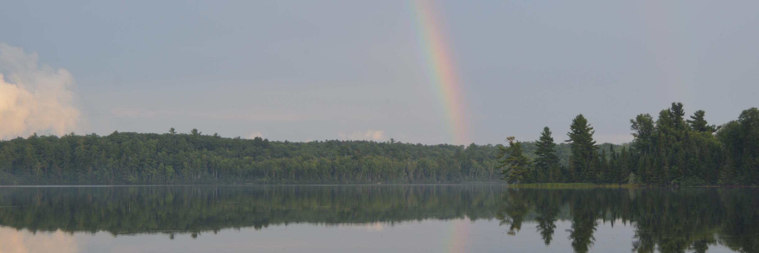 Marie Mehring banner