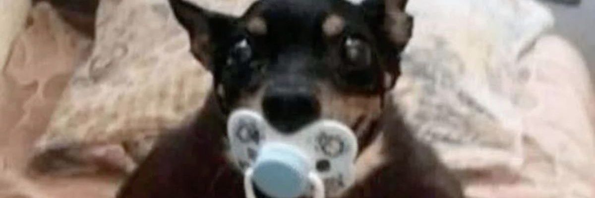 °°☆☆ teagan!! ☆☆°° banner