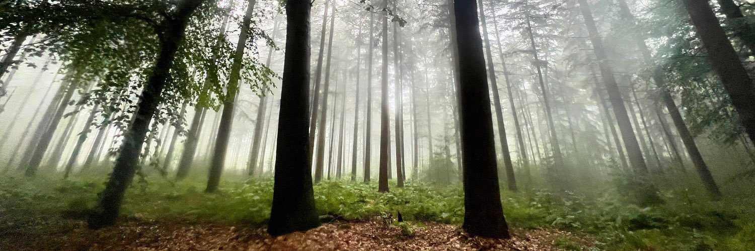 Leander Broere banner