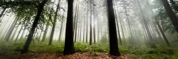 LeanderBroere Profile Banner