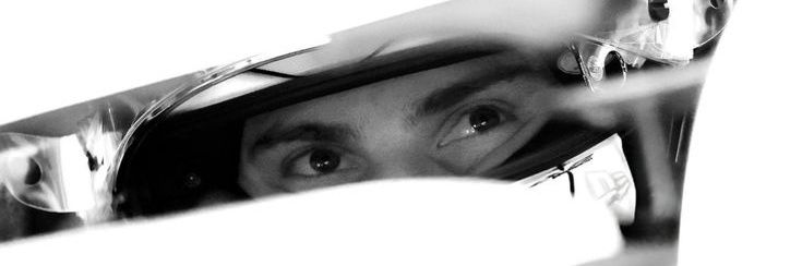 schatz #81-1 banner