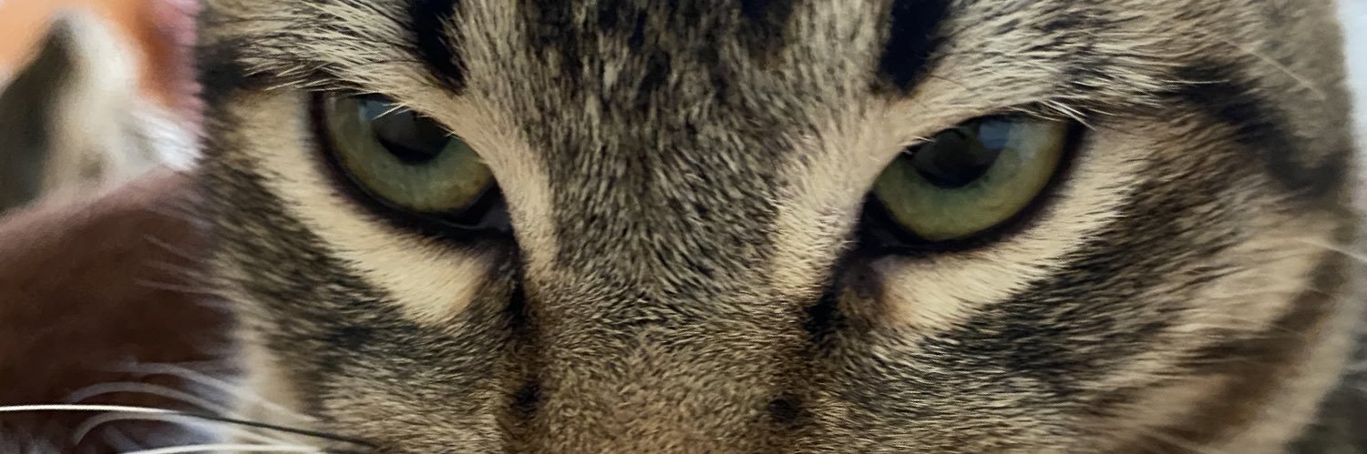 albabelem's profile banner image