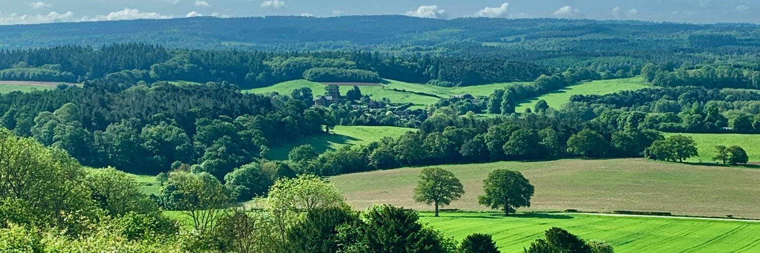 Lady Birder is on Bluesky 🦋 🌱 💚 🦊 🦡 🦉 banner