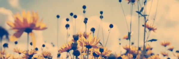 BSpencer banner
