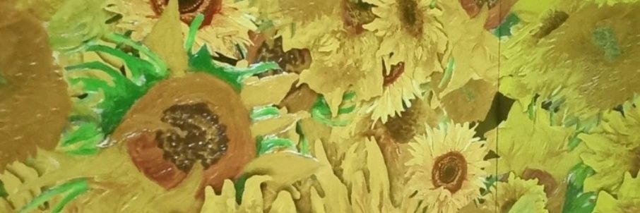 raqu_bruna's profile banner image