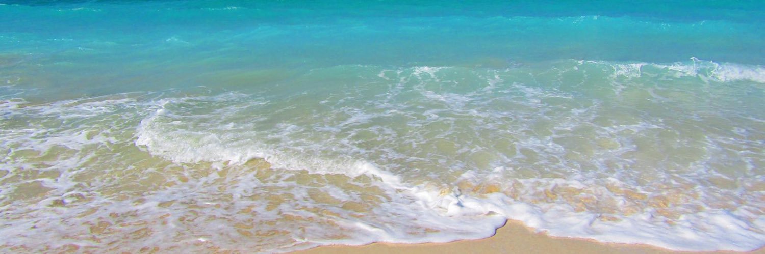 mel_ornek's profile banner image