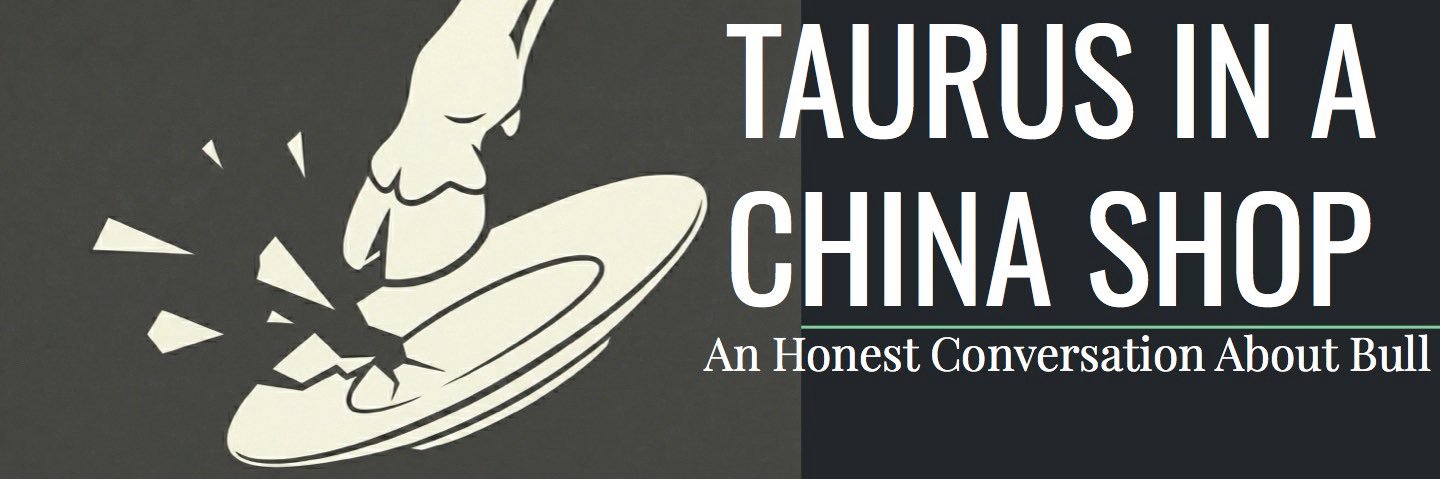 Taurus.in.a.China.Shop banner