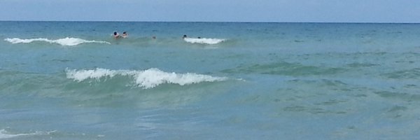 Aniviel Profile Banner