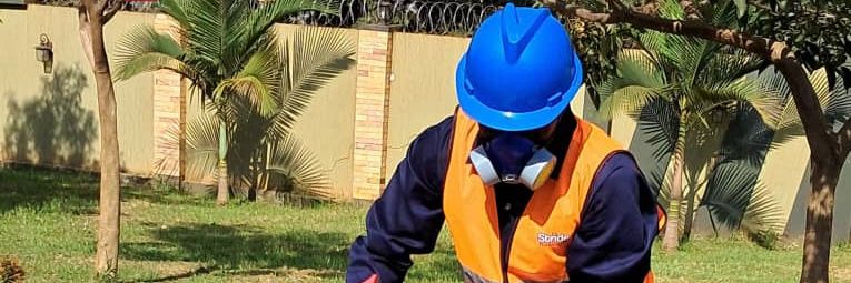 Stride Fumigation Services banner