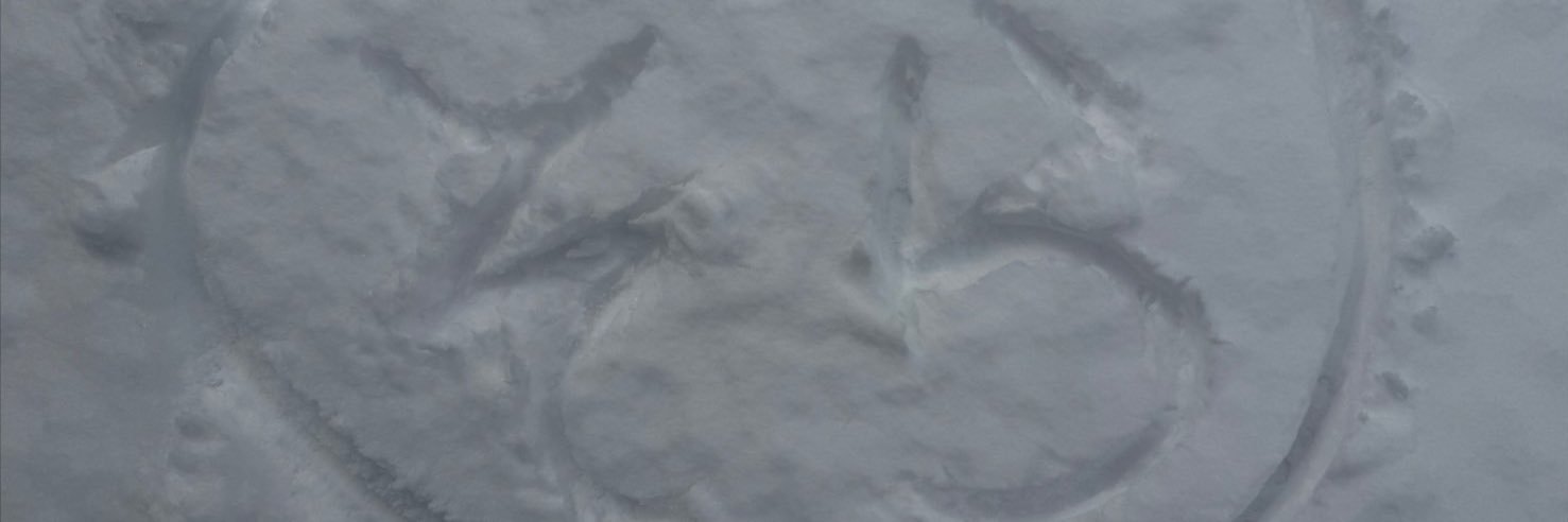 そらじろっ banner