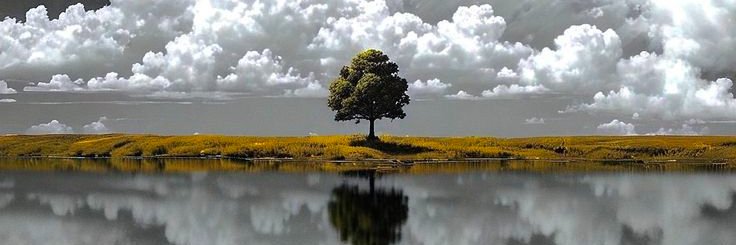 Konjül banner